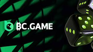 BC.Game Estonia Payment Methods Overview