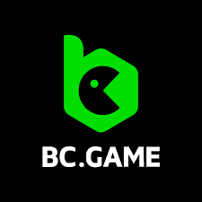 BC.Game Estonia Payment Methods Overview