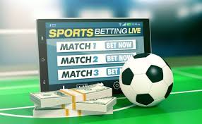 Exploring Betwinner Your Ultimate Betting Experience -206331592